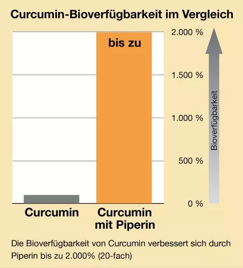 Bioverfügbarkeit von nur Curcumin und Curcumin mit Piperin Pfefferextrakt