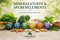 Natürliches Kategoriebild für Mineralstoffe und Spurenelemente von NaturBurg mit Magnesium, Calcium, Kalium, Zink, Eisen und Selen, dargestellt mit frischen Lebensmitteln und Nahrungsergänzungskapseln.