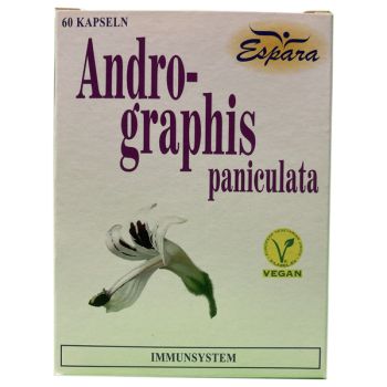 Andrographis paniculata, Kalmegh auch indische Echinacea mit Andrographolide von Espara
