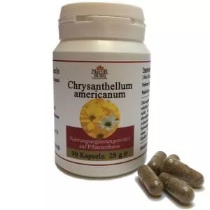 Chrysanthellum americanum 90 Kapseln 220 mg
