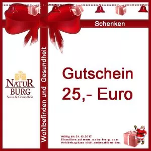Geschenk-Gutschein-zu-Weihnachten-25-EUro