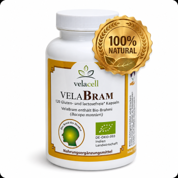 VelaBram Brahmi Kapseln mit Bacopa monnieri – Ayurveda Nahrungsergänzung von NaturBurg