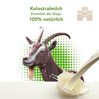 Preview: Ziegenkolostrum 90 Kapseln 230 mg Colostrum Preview: Ziegenkolostrum Ziegencolostrum 90 Kapseln Colostrum Ziege