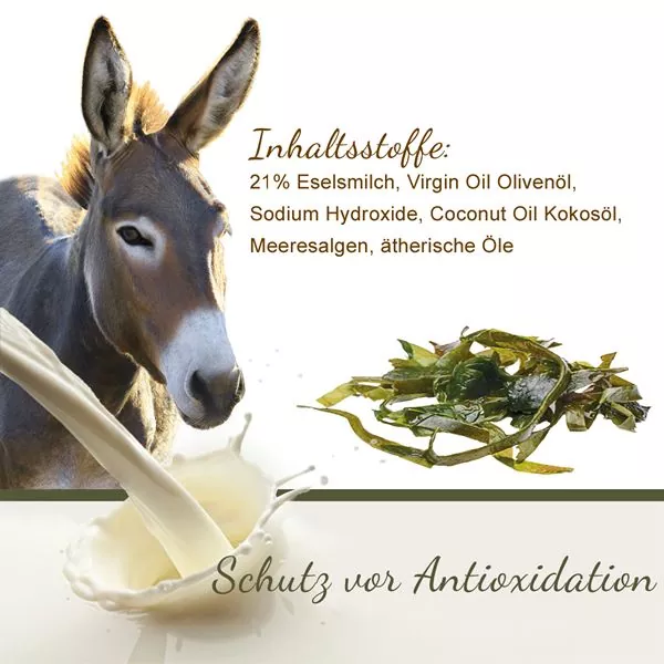 Handgemachte Eselsmilch Seife mit Olivenöl und Meeresalgen für trockene Haut