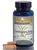Cordyceps sinensis Pilz Mycel Extrakt 100 Kapseln