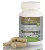 Nattokinase Extrakt kaufen